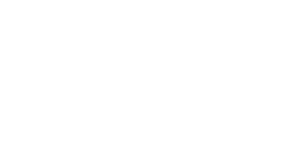 Adam Weiner Team Logo