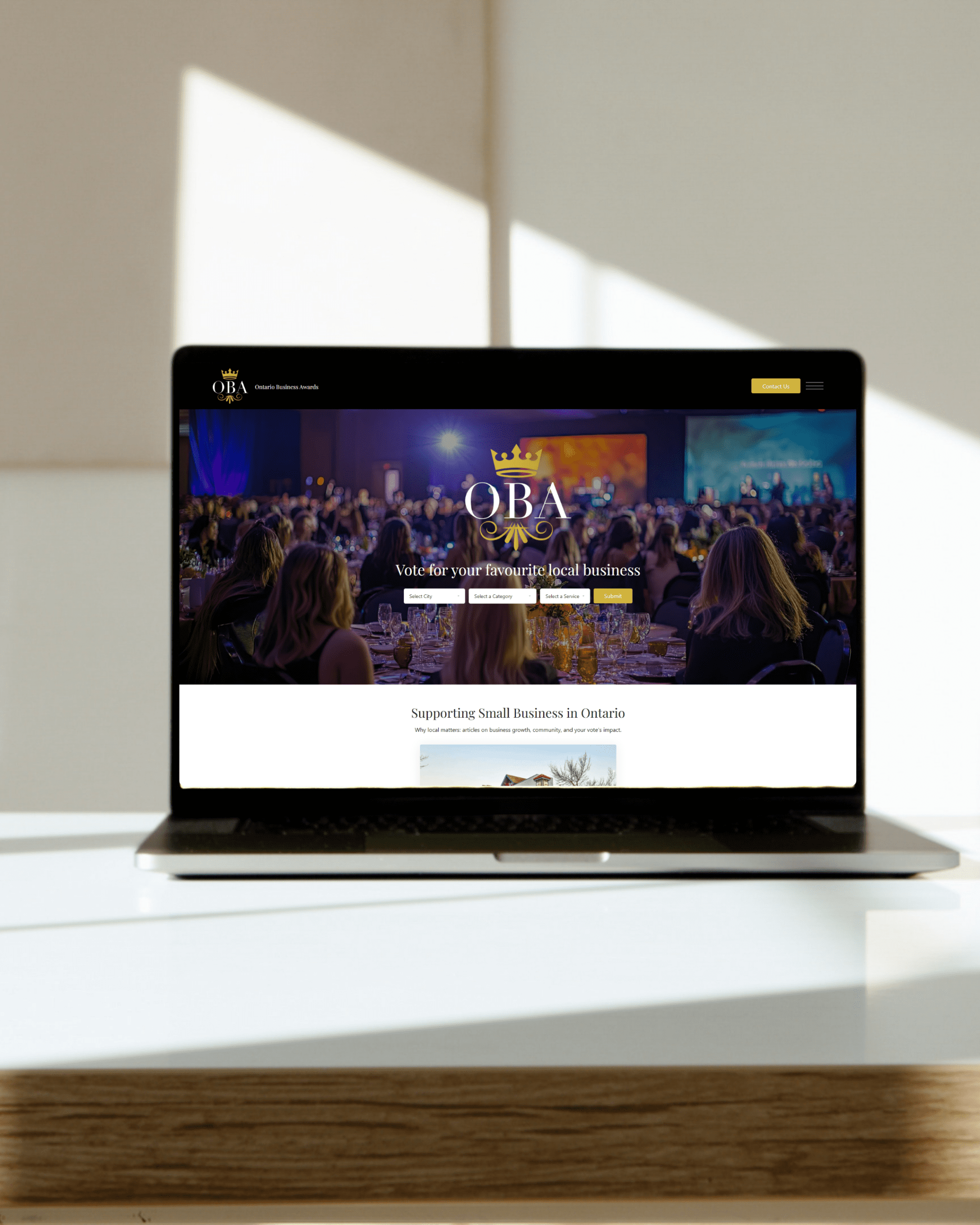 Ontario Business Awards Project Image