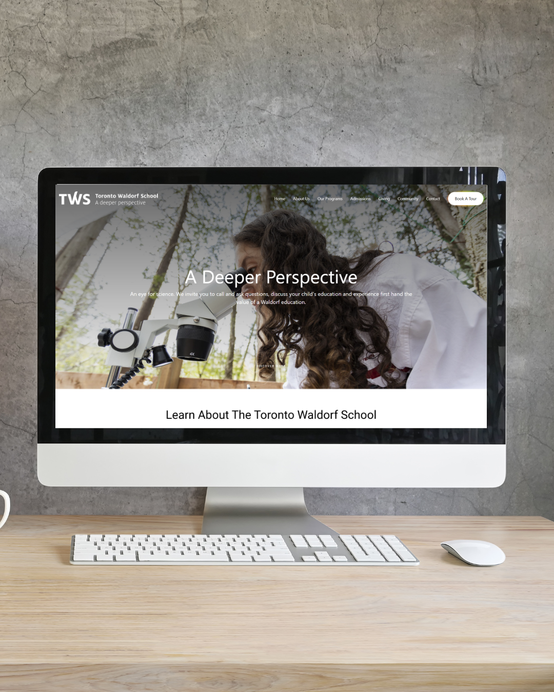 Waldorf Toronto School Mobile Project Image