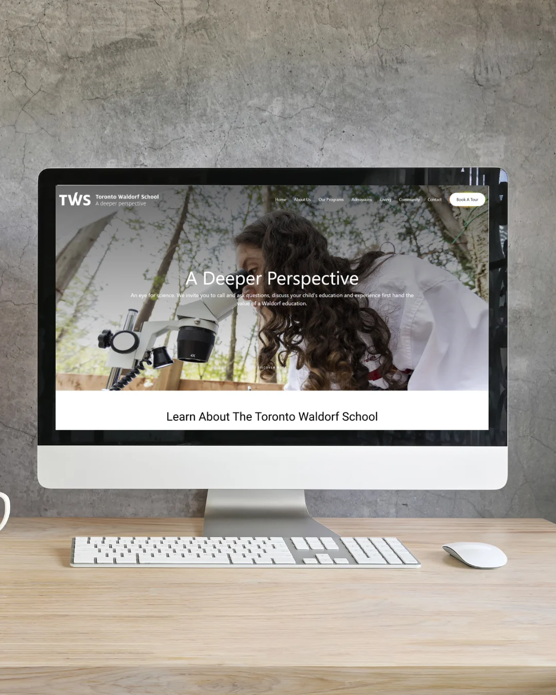 Waldorf Toronto School Project Image